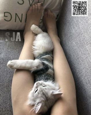 尖刀电视剧免费观看全集高清