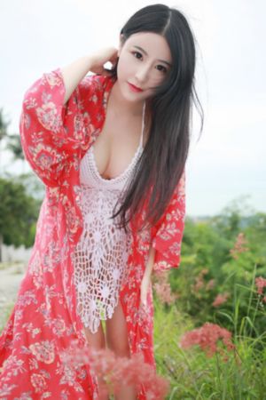 倚天屠龙记全集免费看